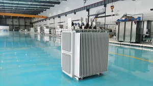Transformador de Potencia MV&HV&LV con Inmersión en Aceite, Voltaje de Entrada 10kv, Voltaje de Salida 0.4kv, Frecuencia 50Hz-60Hz, Trifásico - Product Image 3