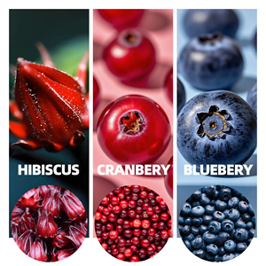 ชาเพื่อสุขภาพผู้หญิง OEM ODM พร้อมส่ง ชาสมุนไพรผสมฮิบิสคัส แครนเบอร์รี่ บลูเบอร์รี่ บำรุงสุขภาพสตรี บรรจุ 10 ซอง - Product Image 6