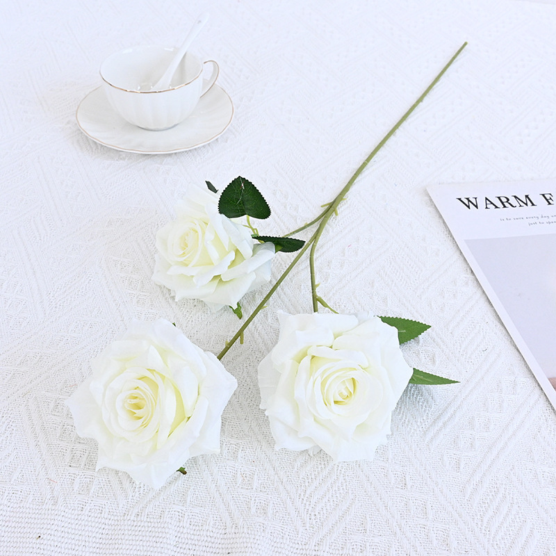Creamy white