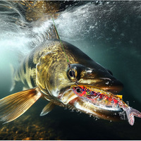 Leurres souples de pêche d'appâts de natation réalistes leurre en plastique souple d'eau salée d'eau douce impression 3D appâts artificiels en Silicone pour poissons