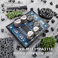 Módulo de Placa Amplificadora de Audio Digital XH-M311 Mini Versión TPA3118, Kits de Desarrollo de Amplificador de Potencia Mono de 60W 30W