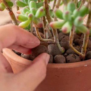 Mở rộng đất sét bóng Trọng lượng nhẹ đất sửa đổi bóng gốm đất sét chất lượng cao bắn vật liệu - Product Image 3