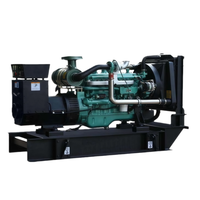 Grupo Electrógeno Diésel SPM THL V250 3P4W 250kW/312.5kVA con Opción de Contenedor Silencioso de 20 Pies, Precio de Fábrica, Venta Comercial