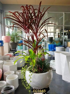 <span class=keywords><strong>Fioriera</strong></span> per alberi e fiori <span class=keywords><strong>in</strong></span> <span class=keywords><strong>cemento</strong></span> tondo per esterni all'ingrosso su misura <span class=keywords><strong>in</strong></span> fabbrica - Product Image 2