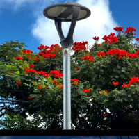 Lampadaires LED 30W pour éclairage architectural urbain