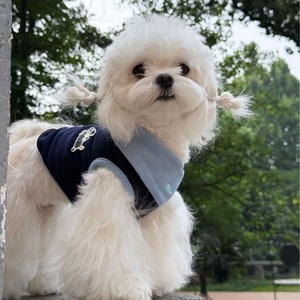 เสื้อกั๊กดีไซน์ใหม่สไตล์อังกฤษสำหรับสุนัขพันธุ์เล็ก เช่น เท็ดดี้ บิชอง ฟริเซ่ ยอร์คเชียร์ ลูกสุนัข - Product Image 2