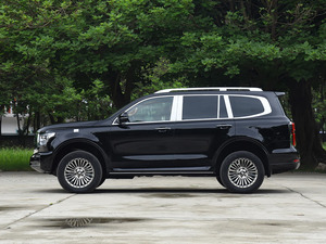 Miglior Prezzo Veicoli a Nuova Energia 2026 GWM Tank <span class=keywords><strong>500</strong></span> Hi4-T Ibrido Plug-in 252 CV Trazione Integrale SUV 5 Porte 5 Posti Guida a Sinistra - Product Image 5