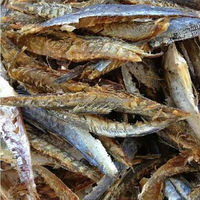 Nouvelle saison, qualité supérieure, sans sable, fruits de mer séchés au soleil naturels, poisson scad rond entier, petits yeux, scad 10 kg, qualité d'exportation, vente en gros