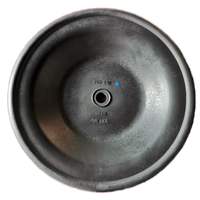 Pompes Blagdon 25-012, pièces en diaphragme EPDM, basse pression, application marine pneumatique, support OEM personnalisé