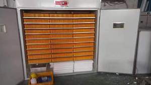 Incubateurs d'œufs polyvalents intelligents entièrement automatiques Capacité d'œufs 1000-1056 Nouvelle condition pour les couvoirs - Product Image 4