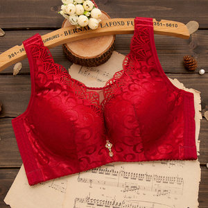 Novo Design Transparente Sem Forrado Lace Bras Roupa Interior das Mulheres com Calcinha Padrão Peito Grande Tamanhos 32 50 Fio Livre Vest Brassiere - Product Image 5