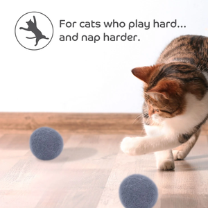 Toptan çeşitli renk Pet interaktif kedi cattoy oyuncak moda yeni yün keçe topu kedi oyuncaklar - Product Image 3