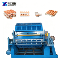 Lini Produksi Pulp Molding Multifungsi untuk Baki Telur, Baki Buah, dan Baki Bibit