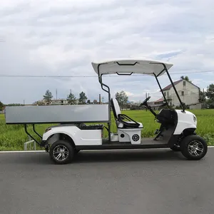 מיני 2 מושבים חשמלי קלאסי עגלת גולף & רכב עם מטען תיבת 4 מושבים חשמלי מטען עגלת