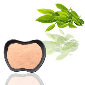 Estratto vegetale di polifenoli estratto di tè verde fonte organica di catechina - Product Image 2