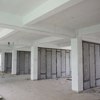 Tablero de panel de pared exterior de hormigón de espuma prefundida ligera Construcción de edificios de metal aislante acústico impermeable