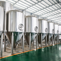 Cuve de Fermentation Conique en Acier Inoxydable 1000L 2000L avec Accessoires Complets, Cuve à Bière Brillante pour Brasserie Commerciale
