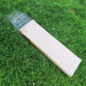 Piège à cage pour animaux vivants Pièges à raton laveur pliants robustes Piège à chat sans cruauté pour ratons laveurs errants Écureuil Taupe <span class=keywords><strong>Attraper</strong></span> et relâcher - Product Image 5