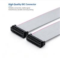 Connecteur femelle IDC 22 broches 1,27 mm 2,54 mm avec gaine PVC pour usage électronique, câble plat 300 V de 100 mm de longueur