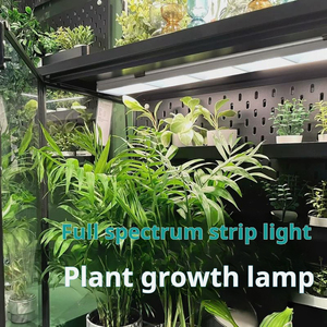 <span class=keywords><strong>Lampe</strong></span> de croissance des plantes <span class=keywords><strong>lampe</strong></span> à longue bande spectre complet photothermique naturel plante racine fleur rack plante armoire tissu <span class=keywords><strong>culture</strong></span> <span class=keywords><strong>lampe</strong></span> - Product Image 2