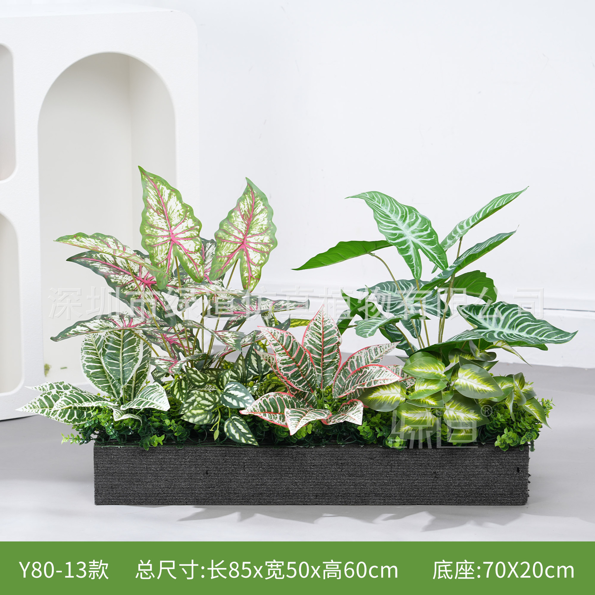 hc-Y80-13 convient aux jardinières de 80 cm