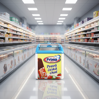 Congélateur Vitrine Grande Capacité pour Crèmes Glacées, Congélateur Coffre Commercial à Couvercle Vitré pour Marques de Desserts Surgelés