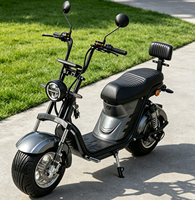 Trottinette Électrique 1000W en Gros, Batterie Lithium, Trottinette Électrique Intelligente à Deux Roues, Deux Places, Charge 200KG, Mobilité Urbaine pour Adultes