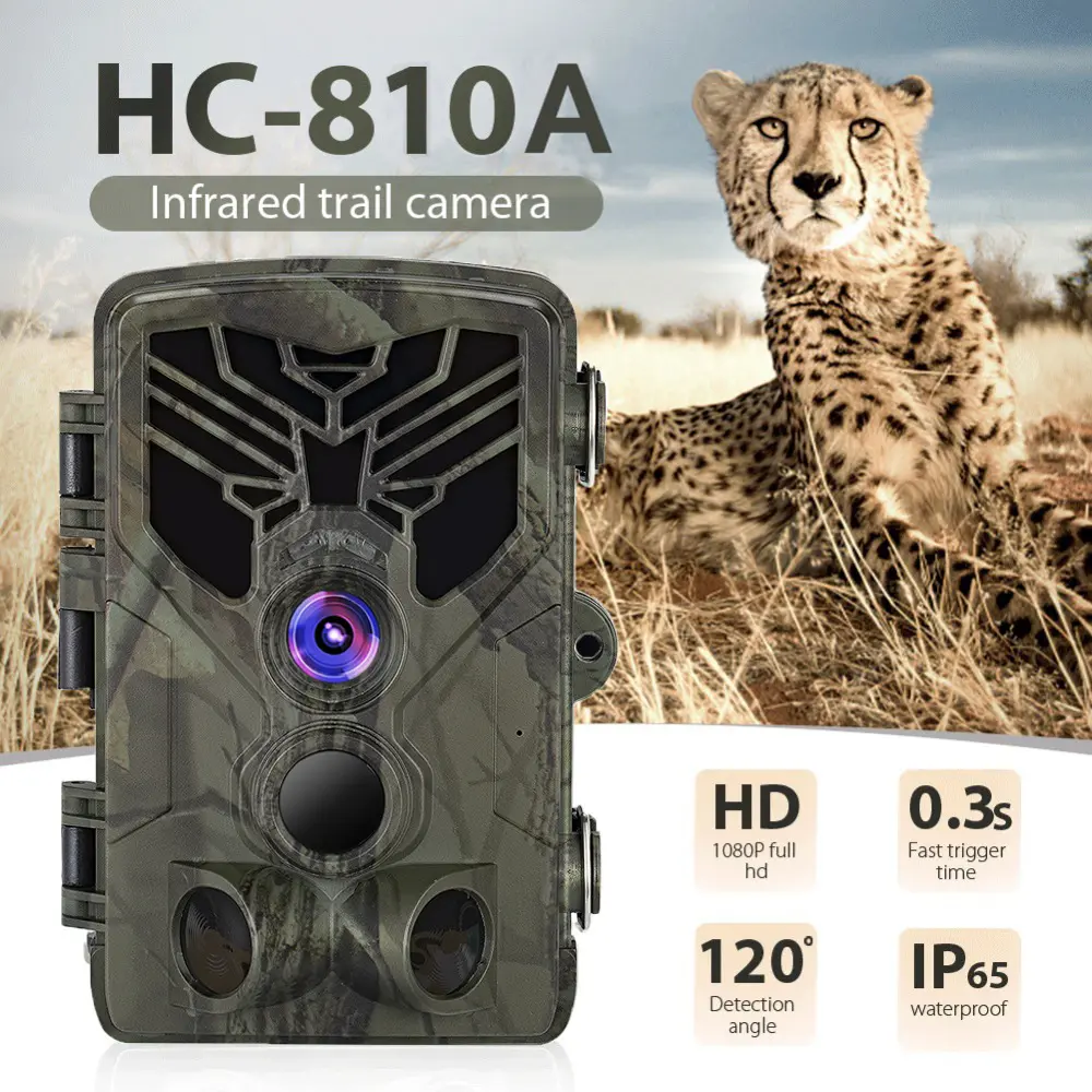 4K 야외 과수원 사냥대항 필드 감지 카메라, 적외선 야간투시경 LED 동물 감시 안뜰 방수 사냥