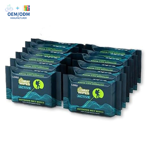 Toallitas Desodorantes Portátiles para Limpieza Corporal de Adultos, Paquete Mini de 10 Hojas, OEM ODM, para Después de Hacer Ejercicio al Aire Libre o Escalar Montañas - Product Image 1