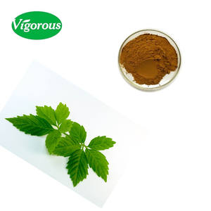 100% чистый природный экстракт, экстракт порошок/jiaogulan экстракт - Product Image 3