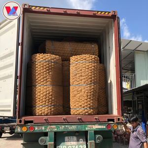 เชือกใยมะพร้าวธรรมชาติของเวียดนาม |   เป็นมิตรกับสิ่งแวดล้อมและมีความแข็งแรงสูง |   จำหน่ายสินค้าจำนวนมาก - Product Image 1