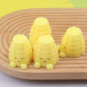 ของเล่นบีบ TPR แบบกำหนดเอง ของเล่นบีบแป้งข้าวโพด บรรเทาความเครียด ของเล่นเสริมพัฒนาการสำหรับเด็ก ของเล่นคลายเครียดแสนสนุก อุปกรณ์เสริมสำหรับเด็ก - Product Image 1