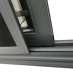 Fenêtre moderne en aluminium design avec grilles Fenêtre coulissante en verre simple double vitrage avec filet
