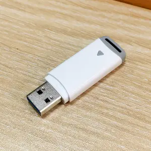 USB Flash sürücü 64 Gb Thumbdrive USB 2.0 toplu katı Flash sürücü plastik toptan Usb anılar