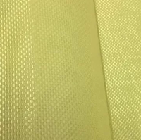 3000D 400gsm Para Aramid Haute Densité pour Résistance aux Impacts et Renforcement Structurel