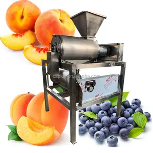 ماكينة صنع لب تفاح الكسترد بسعة 500 كجم/ساعة، ماكينة صنع البيري لصنع لب تفاح على نطاق صغير