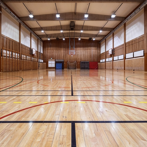 Estructura de Acero Modular para Cancha de Baloncesto Interior, Diseño Escalable, Fácil Expansión Futura, Fabricante Directo de Fábrica, Acero Galvanizado - Product Image 5