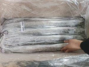 Venta Directa de Fábrica: Pescado Congelado en Filé - Product Image 1