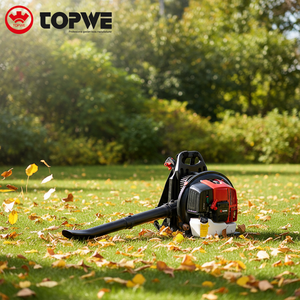 Soplador Industrial TOPWE de Bajo MOQ, 63cc, Soplador de Vacío de 2 Tiempos, Pulverizador de Mochila - Product Image 1