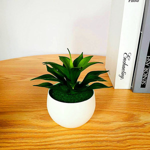 Planta Suculenta Artificial en Maceta, Vegetación Artificial de PVC Suave, Bonsái de Loto de Piedra, Decoración Interior y Exterior, 80g, Hecho en China - Product Image 3