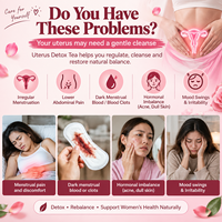 Tisane Bien-être Féminin aux Fleurs de Rose, Goji, Jujube, Longane, Angélique et Gingembre – Sachets Pyramidaux 5g – 20 Sachets – Vente en Gros