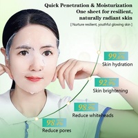Masker Lembar Pencerah Malam Hari Private Label OEM Superfood Tomat Wortel Labu Blueberry Melembapkan Mengencangkan Vegan Grosir
