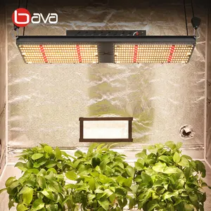 Đèn Trồng Cây BAVA Cảm Ứng 240W Samsung Lm301h 4000 3000K Lm301b + Red Veg Full Spectrum Đèn Ánh Sáng Mặt Trời Led Grow Light