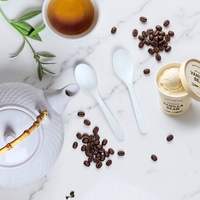Couverts à dessert compostables en CPLA (couteau/fourchette/cuillère/spork) pour café/gâteau, logo et couleurs personnalisés, certifiés DIN/BPI/OK