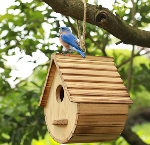 Natuurlijk houten vogelhuisje voor buiten, blauwe vogel, vink, kardinaal, hangend vogelhuisje voor tuinobservatie - Product Image 3