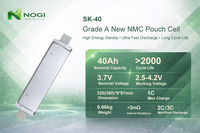 Pin lithium polymer dạng túi NCM dung lượng lớn SK 3.7V 40Ah, sạc lại được, dùng cho bộ pin xe điện