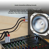 Kabel Audio Dual 6.35mm TS ke Dual RCA untuk Mixer Amplifier Gitar Keyboard Speaker