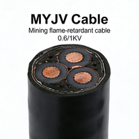 Câble souterrain HongDa MYJV 0.6/1kV à âme en cuivre, isolé XLPE, gaine en PVC, câble d'alimentation pour usage extérieur en bâtiment industriel