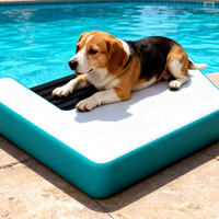 Rampe gonflable antidérapante pour chien pour un accès sûr et facile à l'eau pour la maison et la mer pour les piscines de bateaux, les lacs et les quais