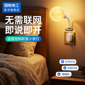 International Electric Voice Control Soft Tube Night <b>Light</b> <b>Globe</b> Shape Led Plug In Multicolored Bedroom Bedside Lamp - Product Image 1